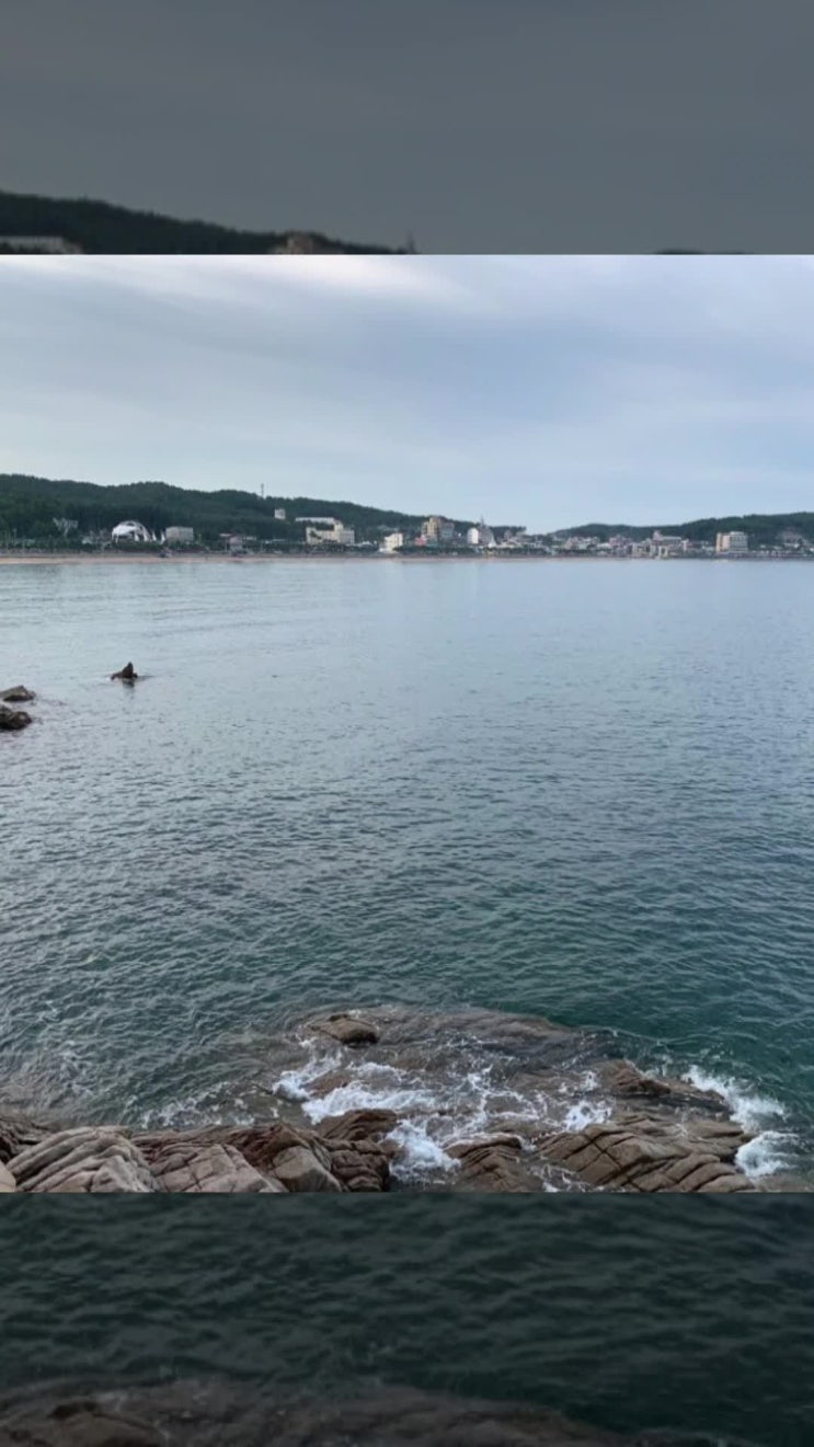  태안 MT,, 열정의 밤이었다.
