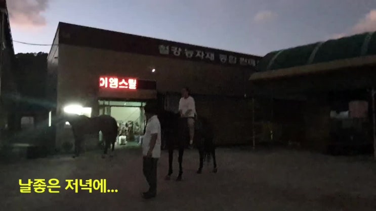  마당에서 노는 말 타보기. 아빠가 끌어주는 말 타기