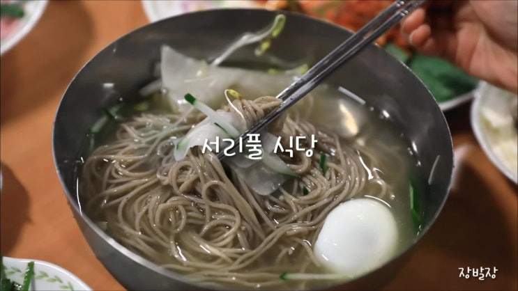  교대역 맛집 서리풀식당 배 터진 날:)