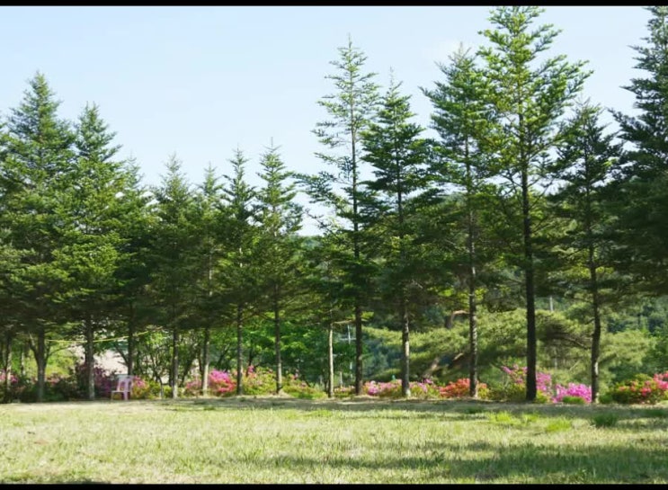 육종암 과연 어떤 질병이길래?