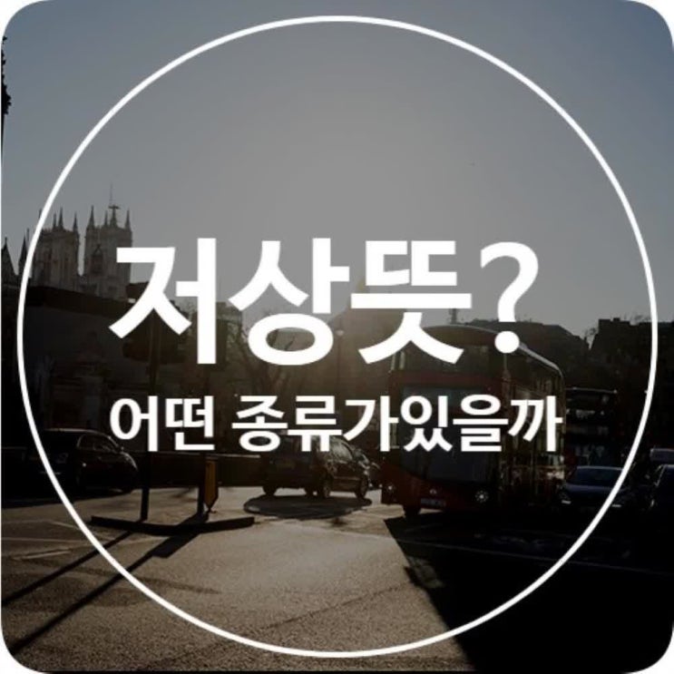  저상 뜻, 어떤 버스 종류가 저상버스일까?
