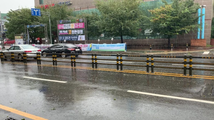  먹기위해 온 부산여행