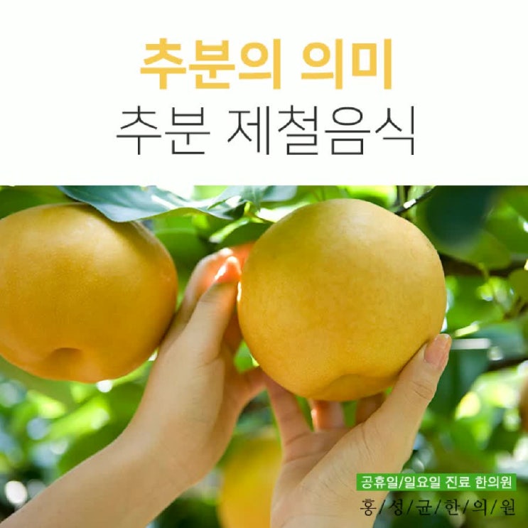 추분의 의미와 추분 제철음식 궁금하셨다면