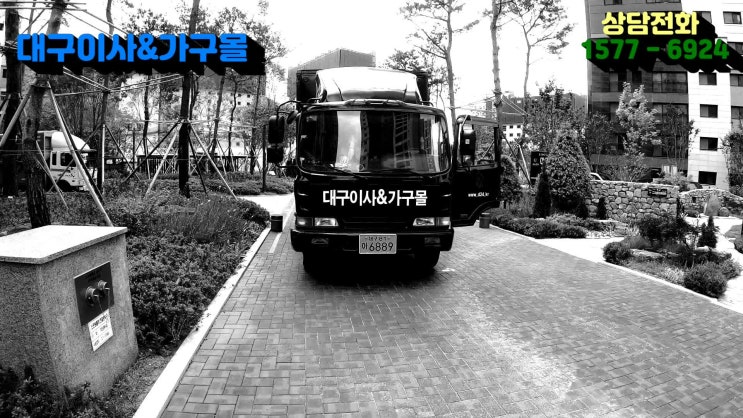  포장이사 그것이 알고 싶다 -애완동물 털 관리