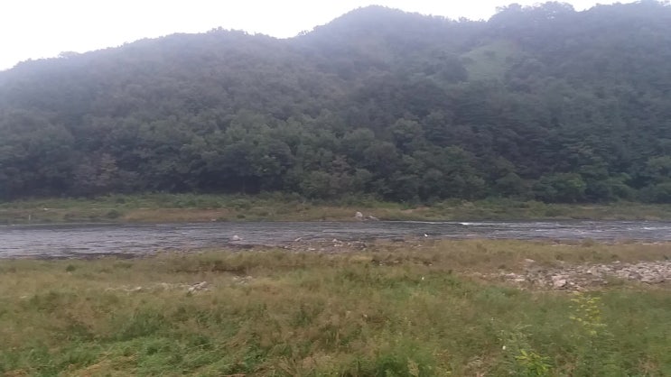  제4회 항노화 실버합창 경연대회에 다녀오다