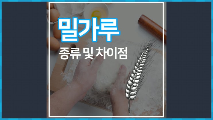  밀가루 종류 차이점 (박력,강력,중력)