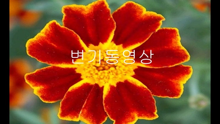  여기가 상동 하수구 뚫어주는 곳 입니다.