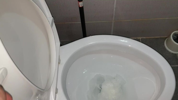  송현동 빌라 변기막힘 바로 해결해드렸어요