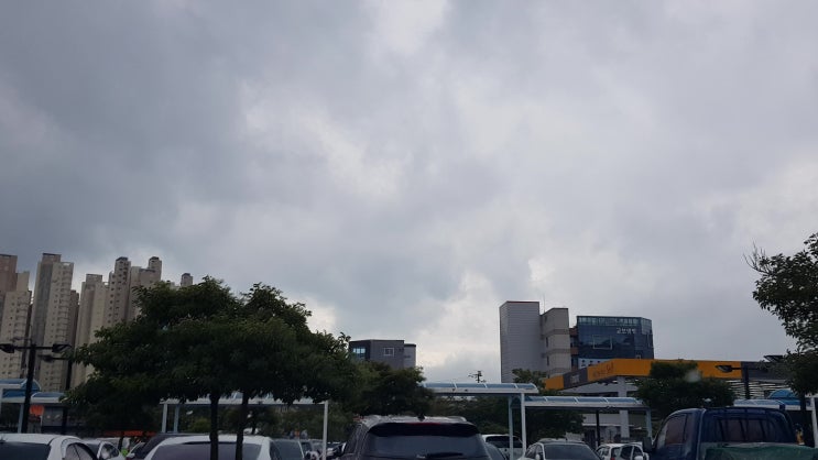  태풍 이동 경로 예상, 미탁 북상경로