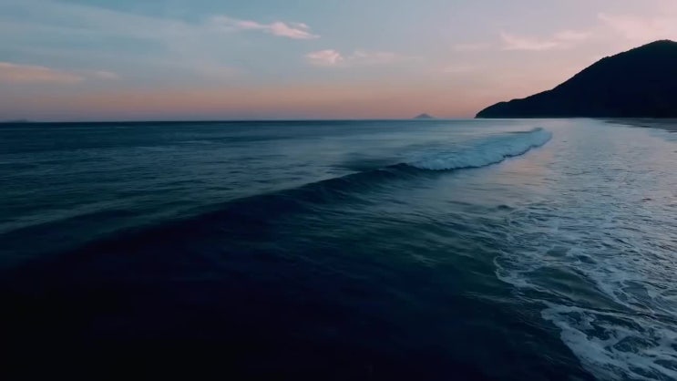  문의처