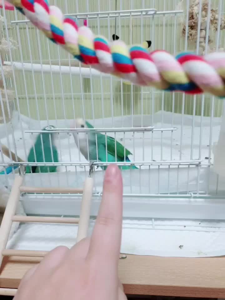  푸름이 그루 오랜만이에요.