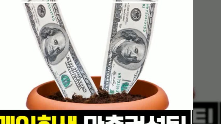  카드연체 해결법 잘 알아보도록 하세요!