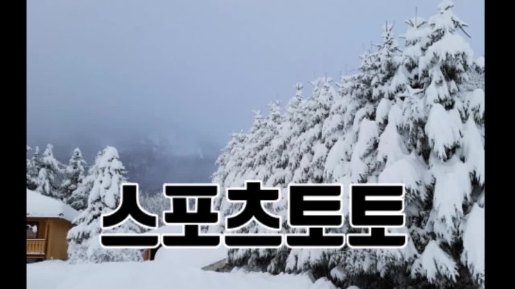  스포츠토토 분석은 기본입니다.