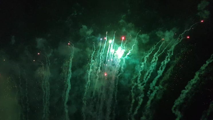  장성황룡강노란꽃축제, 어머님과 누님과 장성 노란꽃축제에서 추억만들기.^^