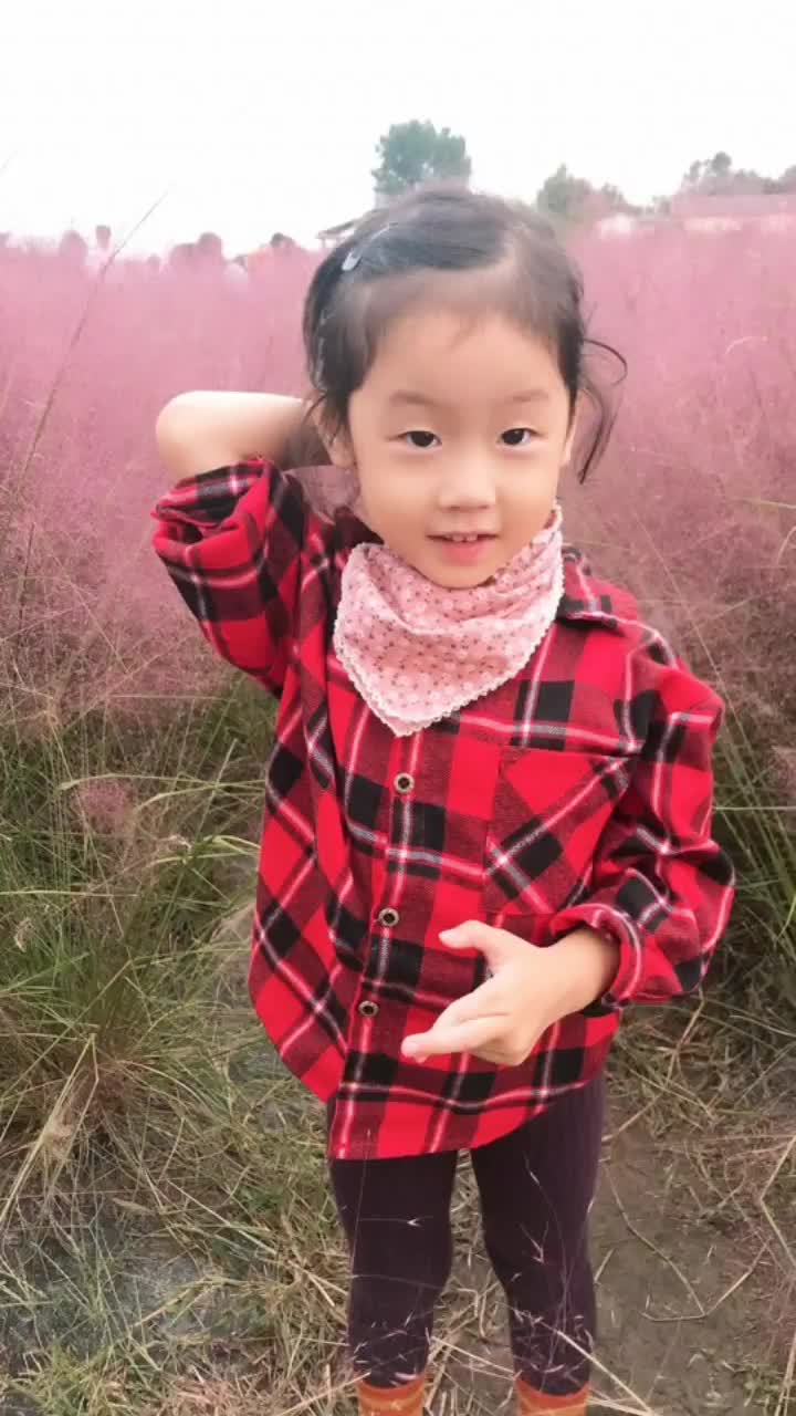  [경기도 평택시] 소풍정원 바람새마을 핑크뮬리꽃밭 가을축제