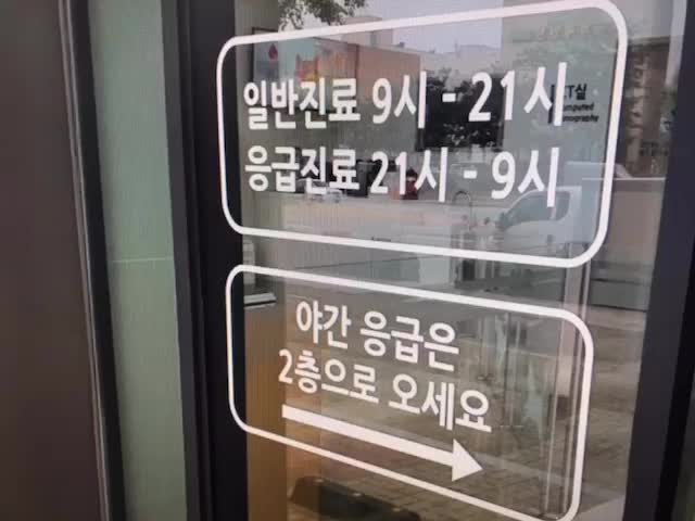  강아지중성화수술비용 꼼꼼하게 알아보고 결정해요