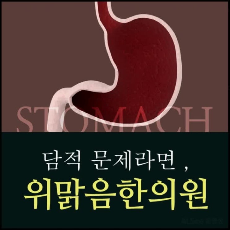  담적치료 경력이 설명한다