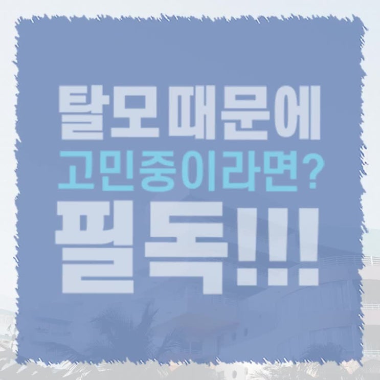 두피관리를 위한 모발이식정수리 팁!!