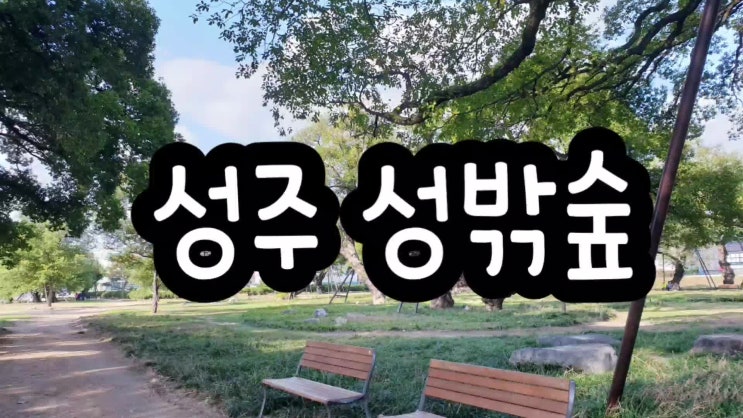  성주 성밖숲 - 태풍이 지나감ㅜ