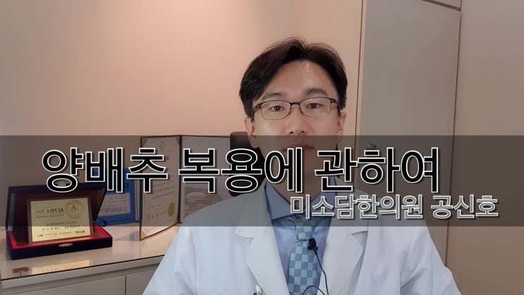  양배추환의 효능과 복용하기 적합한 분들