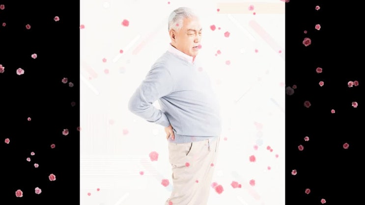  척추전방전위증 증상을 먼저 확인하세요!