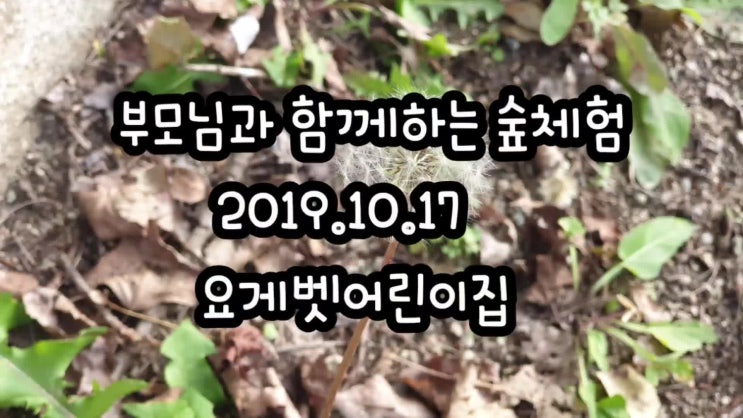  요게벳어린이집 숲체험
