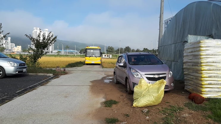  경주 신라초등학교 학생들 우와또와체험농장을 방문