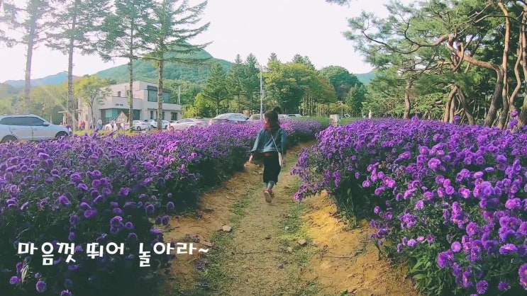 제천 의림지 주말 아이들과 나들이