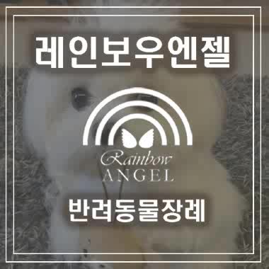  [서울,수원,안양,화성,의왕,군포] 강아지화장, 애견화장, 반려견화장, 애견장례업체, 반려견장례식장, 고양이화장터, 강아지납골당,고양이화장장 비용 등을 제대로 알아봐야 합니다.