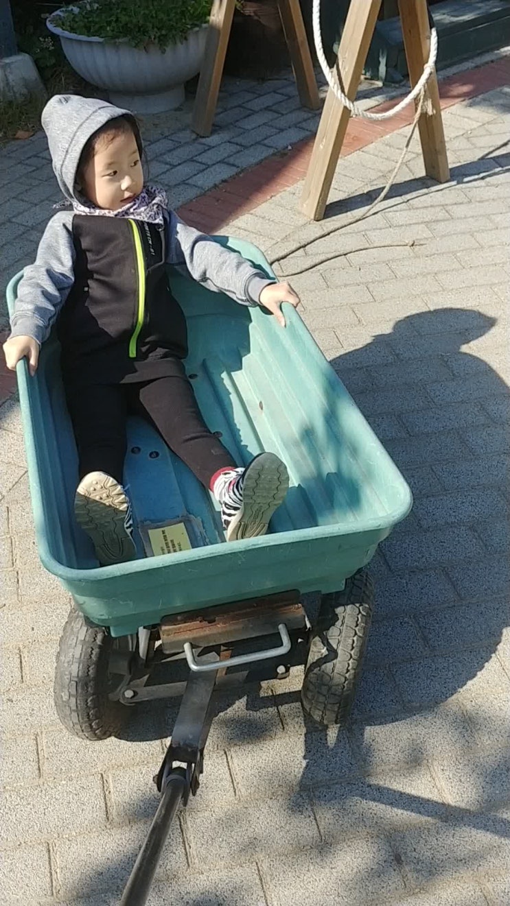  [경기도 여주] 예크생물원 경기도 아이와가볼만한곳 야외놀이터 여주동물원