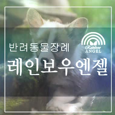  [노원구, 도봉구, 강북구, 성북구, 중랑구] 강아지 장례 고양이 화장 애견 장례식장 반려견 화장터 반려동물 화장장 서울에서 가장 가까운 애견 강아지 장례식장 화장터