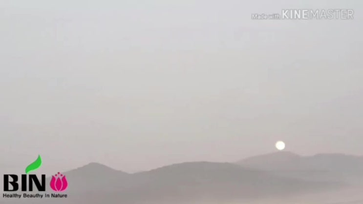  우리는 공부하는 스킨닥터     자연 미인이 되는 비법