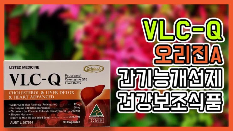  VLC-Q 연말에도 VLC-Q 와 함께