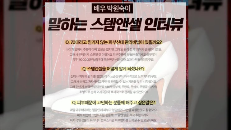  스템앤셀 가격 후기 STEM&CELL