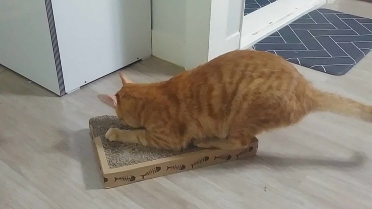  2화 : 세상에 암이라고요?
