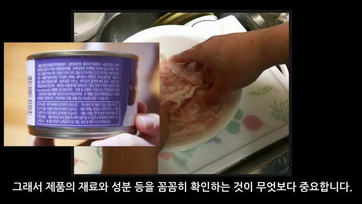 고양이, 강아지에게 향초, 캔들은 안전한가?