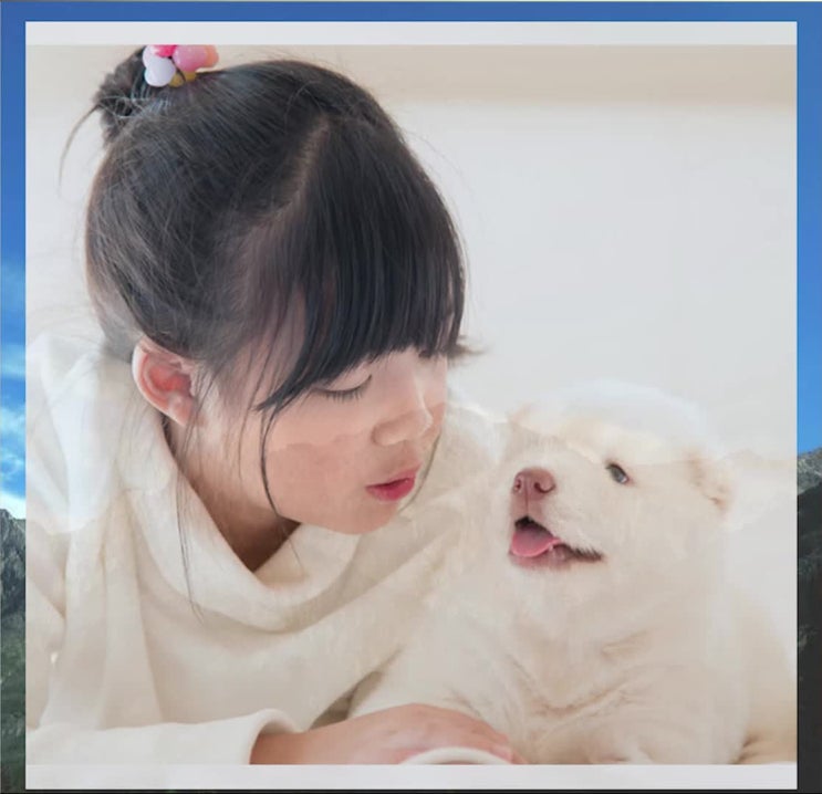  강아지 장례식장, 애견 화장터, 신중한 선택을 위해 믿고 소개하는 레인보우엔젤에서
