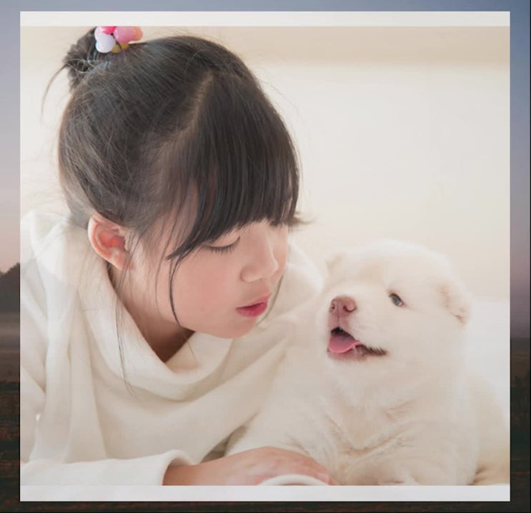  강아지 장례, 반려동물 장례식장, 애견 화장, 반려견 화장터,  마음 놓고 레인보우엔젤에서