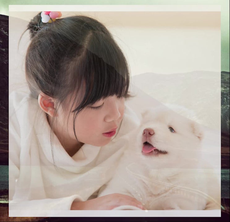  강아지(반려동물 애견) 납골당, 정직하고 걱정 없는 레인보우엔젤에서