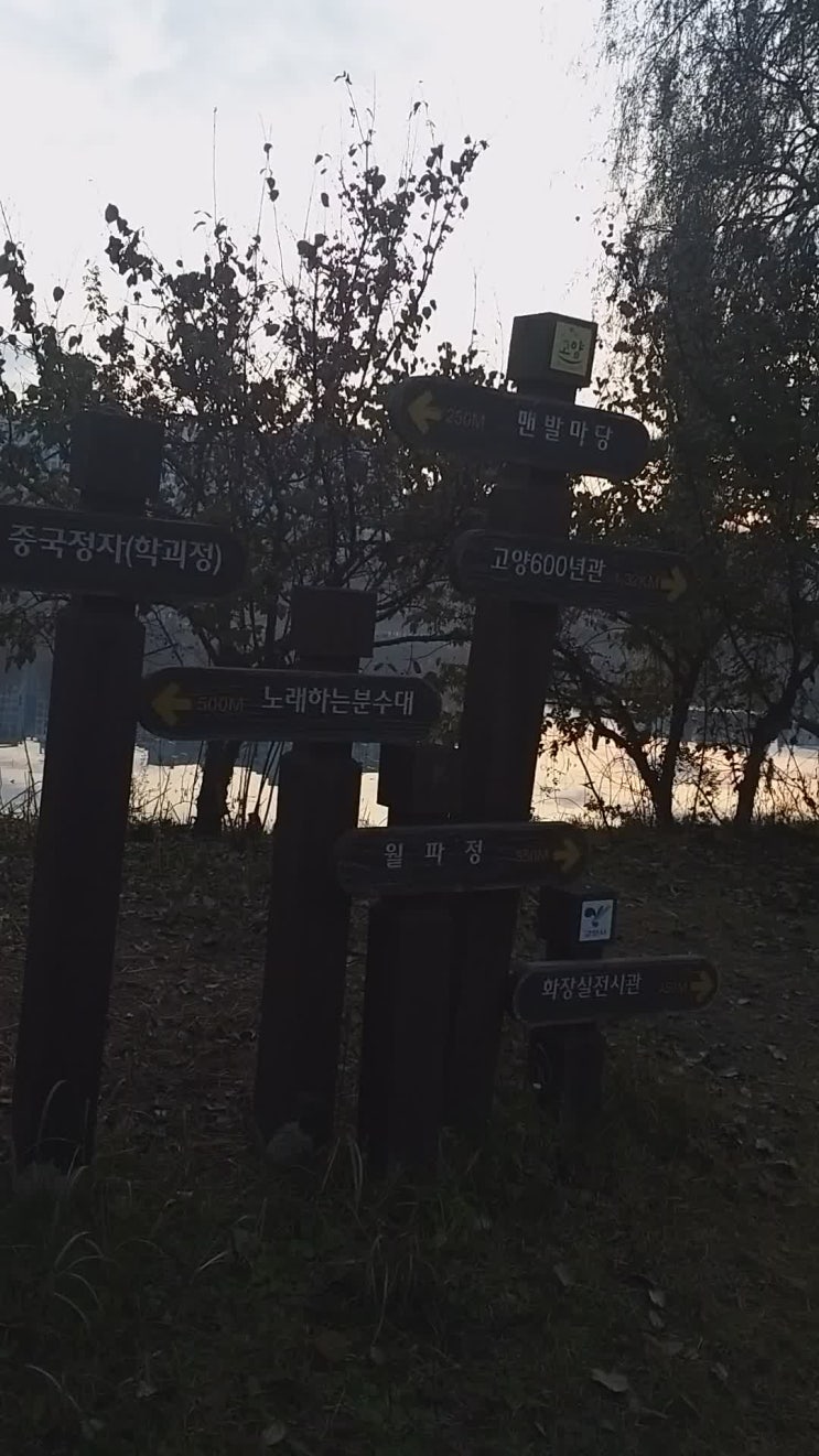  일산역주변후곡아파트, 일산역주변 후곡부동산,일산역주변후곡마을 부동산 시황,일산역주변15단지건영아파트,14단지청구,17단지태영,10단지 동아 임광 서안아파트,일산역후곡주공11단지아파트,일산동후곡마을아파트추천매물**919-8000