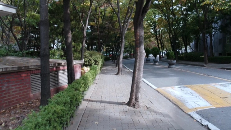  (문화초,신일초, 신일중, 발산중)후곡 아파트 (일산역 주변 )후곡 부동산,(일산역 주변 )후곡 마을 아파트 15단지 건영, 후곡 마을 아파트 17단지 태영, 후곡 마을 아파트 10단지동아아파트추천매물**우정공인중개사 -919-8000
