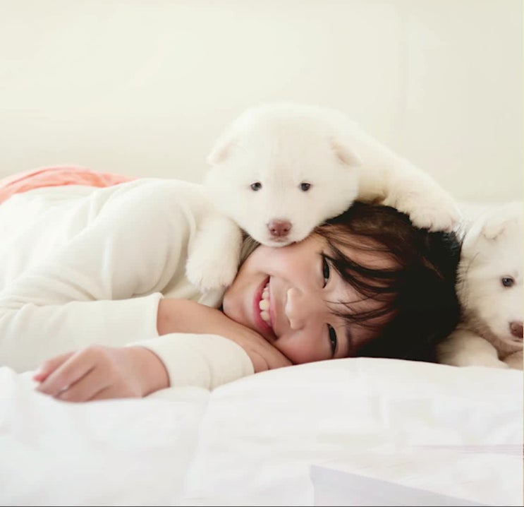  강아지(반려견, 동물) 납골당, 레인보우엔젤은 신뢰 가는 곳이에요.