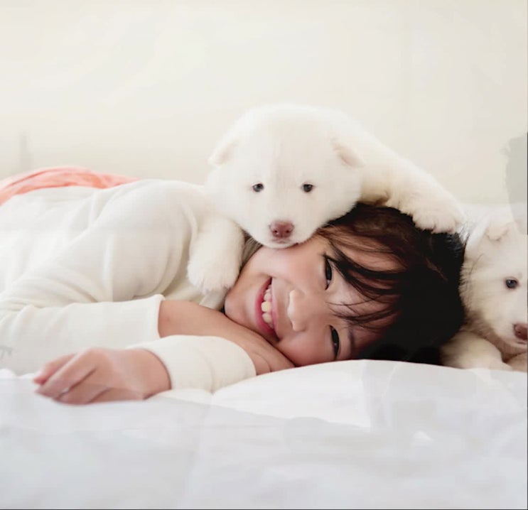  애견 장례비용, 애견 화장비용, 레인보우엔젤이 정직해요