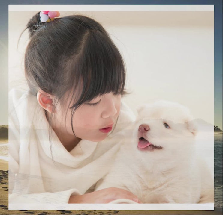  강아지 안락사 비용, 소중한 이별까지 도와드려요