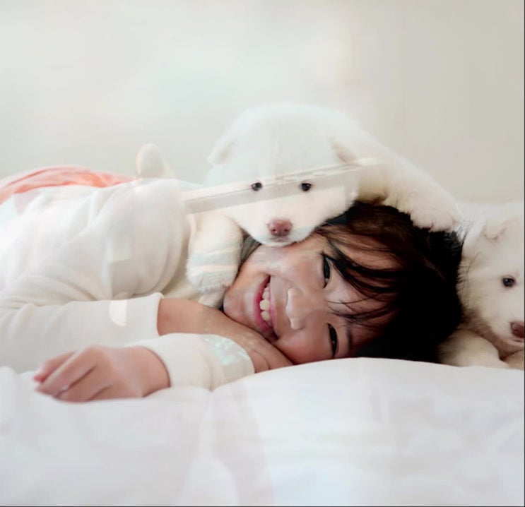  수원 강아지 화장터, 애견 장례식장, 레인보우엔젤은 믿을 수 있습니다.