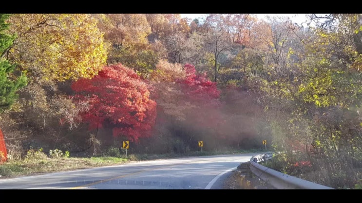  운전연수전주 전주운전연수 초보운전연수 장롱면허연수