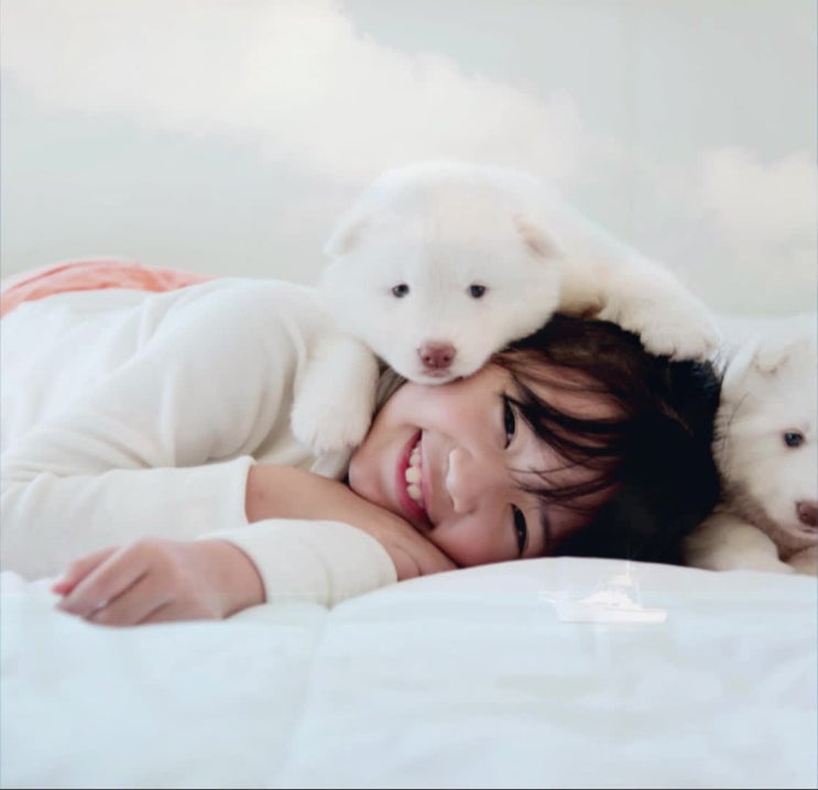  강아지안락사 비용, 제대로 알아보고 신중한 선택을