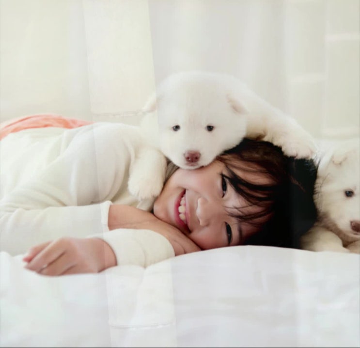  광주 성남 용인 이천 여주 시 광주시, (강아지 반려견 고양이 반려동물 애견 동물 애완견) 화장장,레인보우엔젤이 가까워요