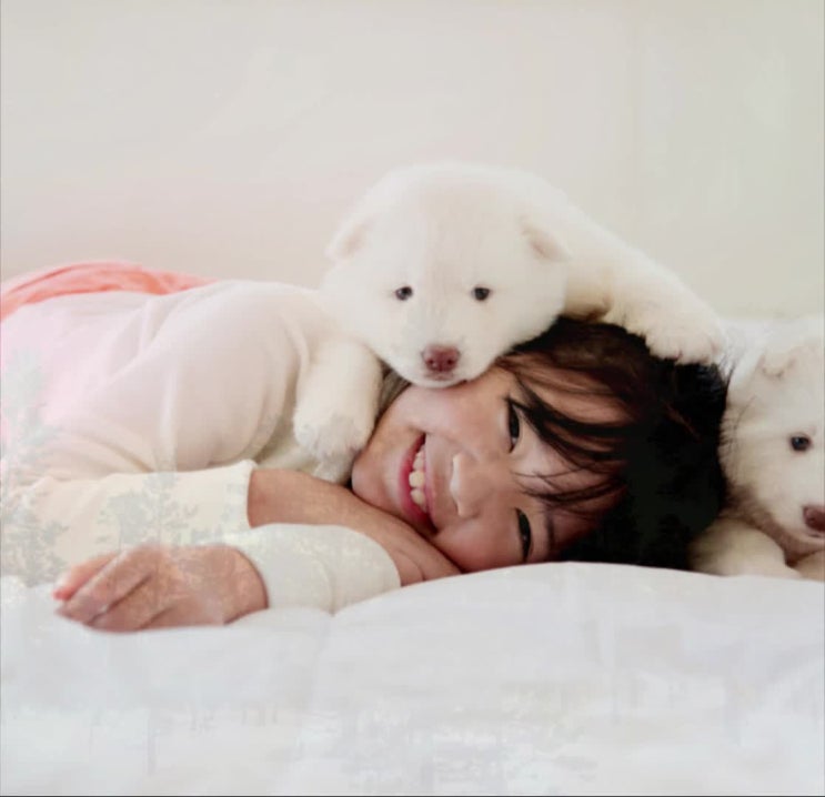  인천(강아지 애견 반려견 애완견) 화장, 화장장, 추천! 믿을 만한 곳에서