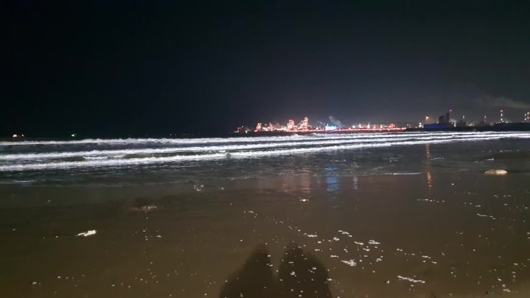  포항할머니댁: DAY1 밤출발/여주휴게소,영일대해수욕장,밤바다,대구통닭,구룡포
